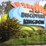 Six Flags Discovery Kingdom - 001
